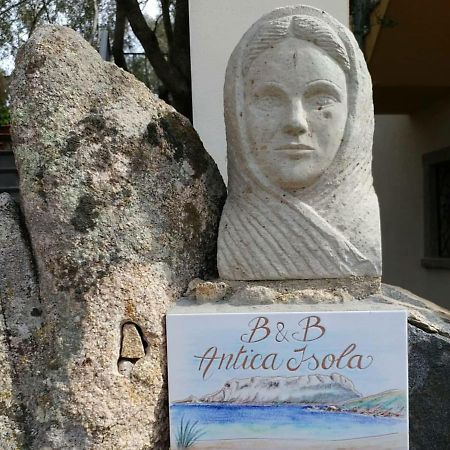 Antica Isola Bed and Breakfast Olbia Exteriör bild